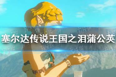 《塞尔达传说王国之泪》攻略——蒲公英解谜攻略