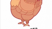 《文字进化》攻略——食物识别二通关攻略技巧