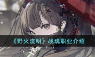 《野火流明》攻略——战魂职业解析